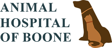 Animal Hospital of Boone